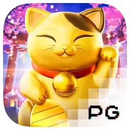 rothforcongress: Lucky Neko