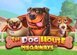 rothforcongress: The Dog House Megaways